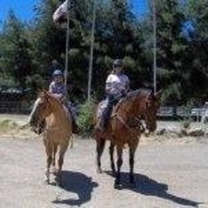 Meet your Posher, Cornelia